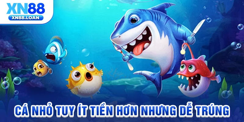 Cá nhỏ tuy ít tiền hơn nhưng dễ trúng
