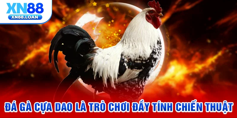 Đá gà cựa dao là trò chơi đầy tính chiến thuật