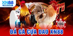 da-ga-cua-dao-xn88