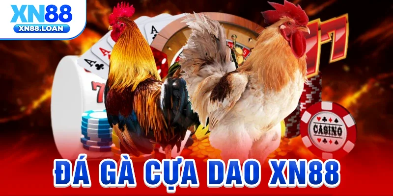 da-ga-cua-dao-xn88