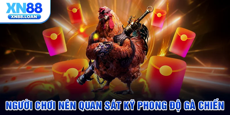 Người chơi nên quan sát kỹ phong độ gà chiến